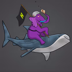 Ocean Racer #16955