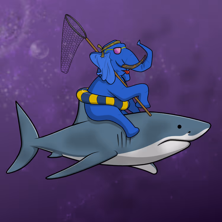 Ocean Racer #12821