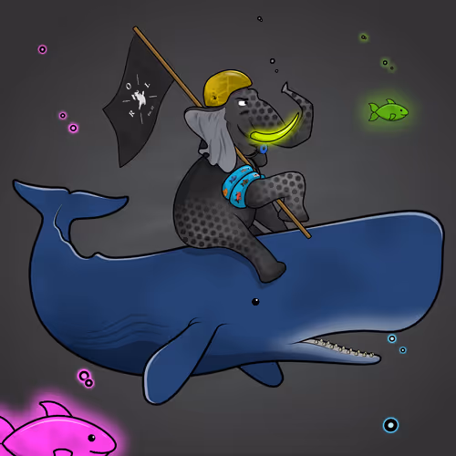 Ocean Racer #10376