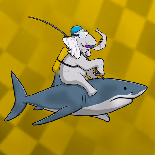 Ocean Racer #16787