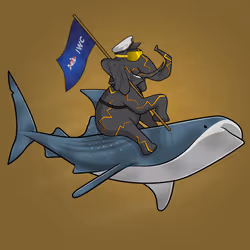 Ocean Racer #13083