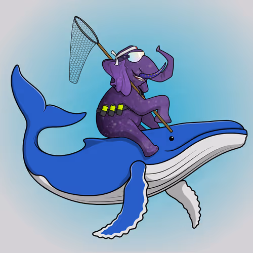Ocean Racer #17015