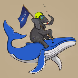 Ocean Racer #13375