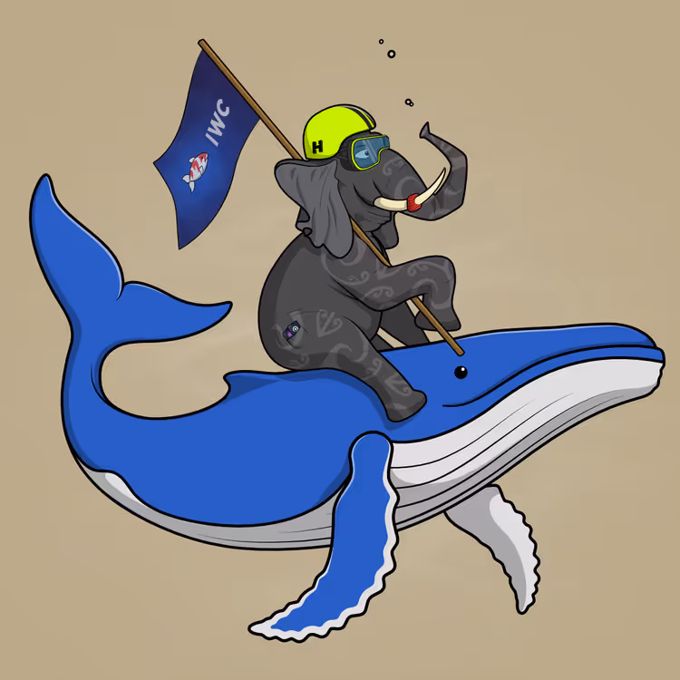 Ocean Racer #13375