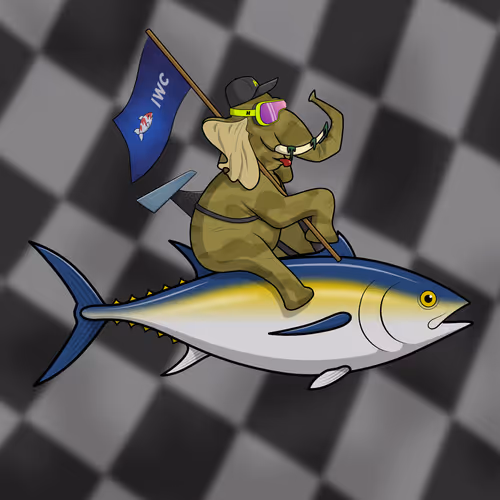 Ocean Racer #11399