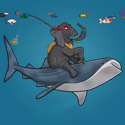 Ocean Racer #17013