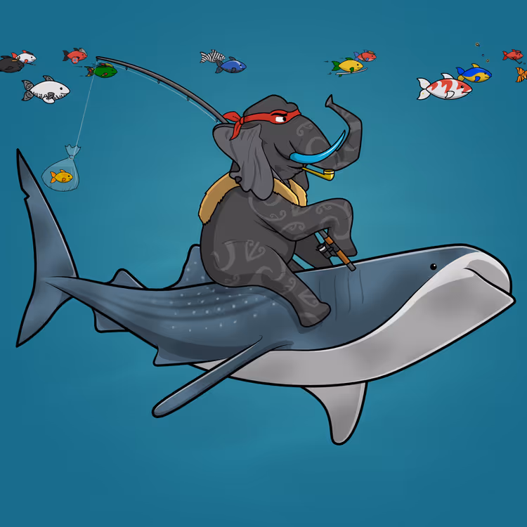 Ocean Racer #17013
