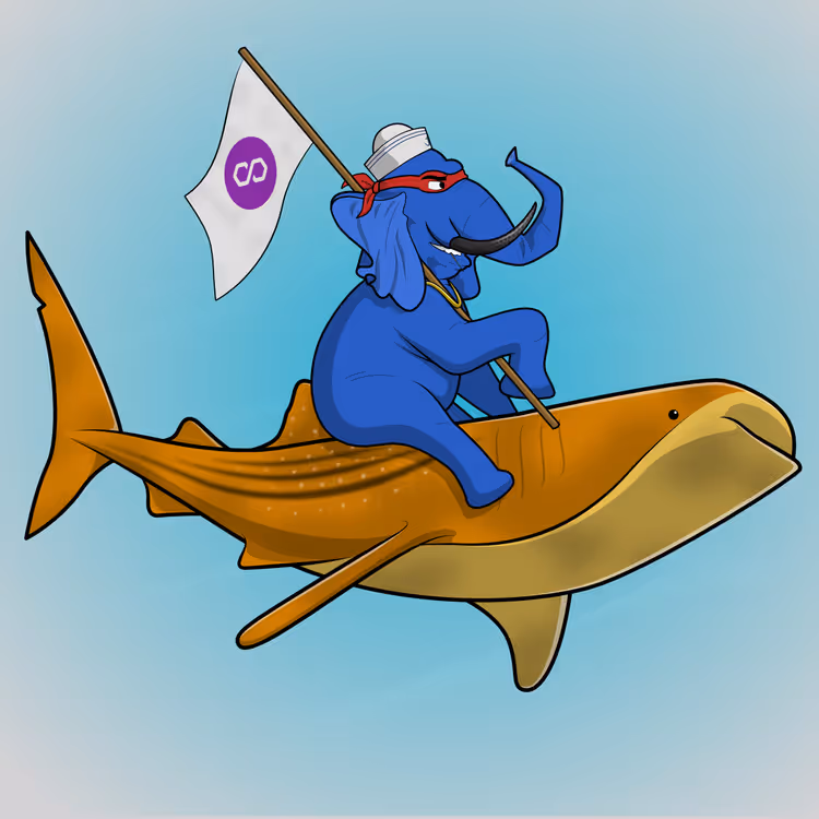 Ocean Racer #7232
