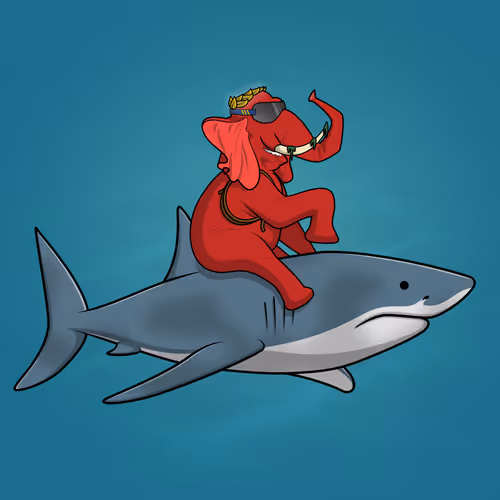 Ocean Racer #5573