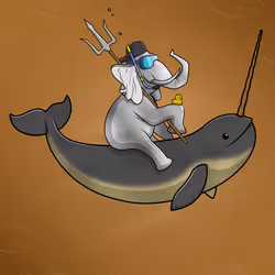 Ocean Racer #13883