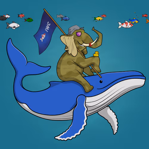Ocean Racer #10325