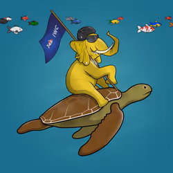 Ocean Racer #5879