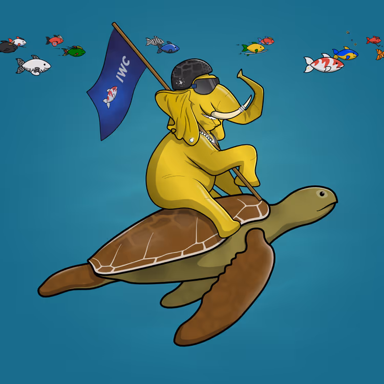 Ocean Racer #5879