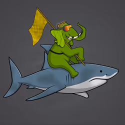 Ocean Racer #22466