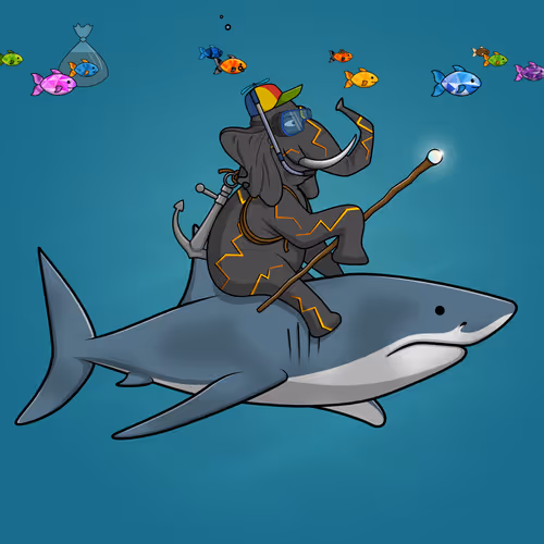 Ocean Racer #13921