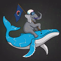 Ocean Racer #14216