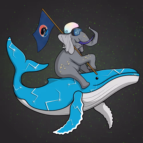 Ocean Racer #14216
