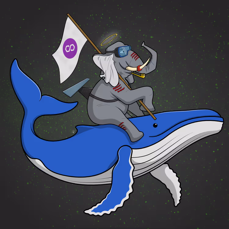 Ocean Racer #18573
