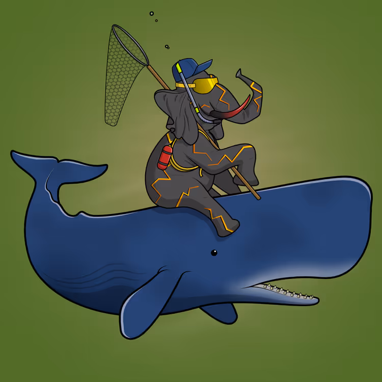 Ocean Racer #11227