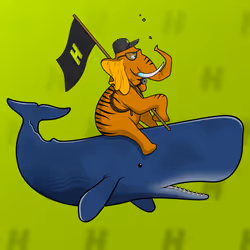 Ocean Racer #13553
