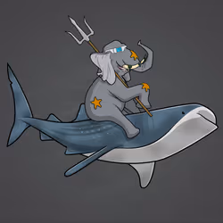 Ocean Racer #7262