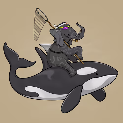 Ocean Racer #15652