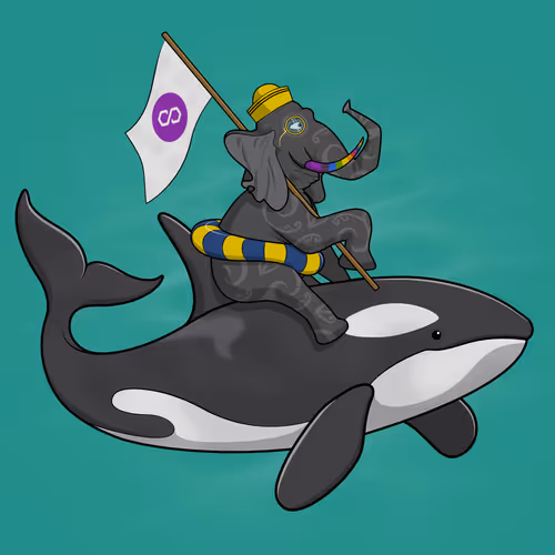 Ocean Racer #687