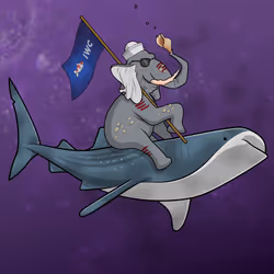 Ocean Racer #19040