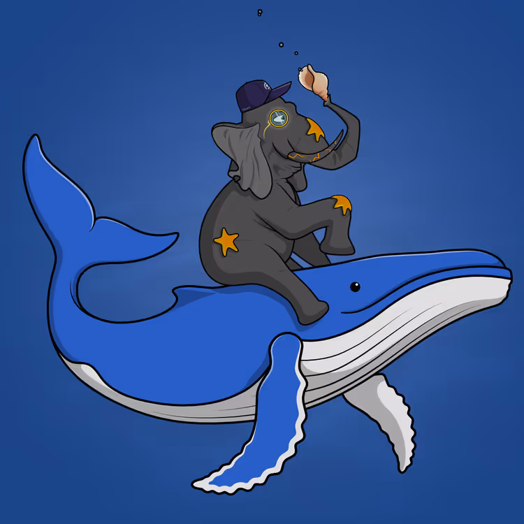 Ocean Racer #7024