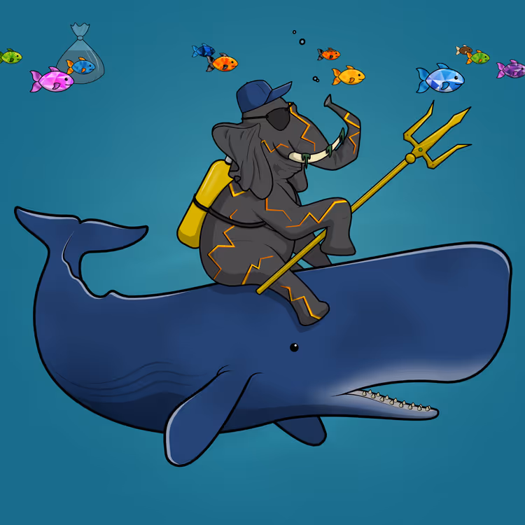 Ocean Racer #12486