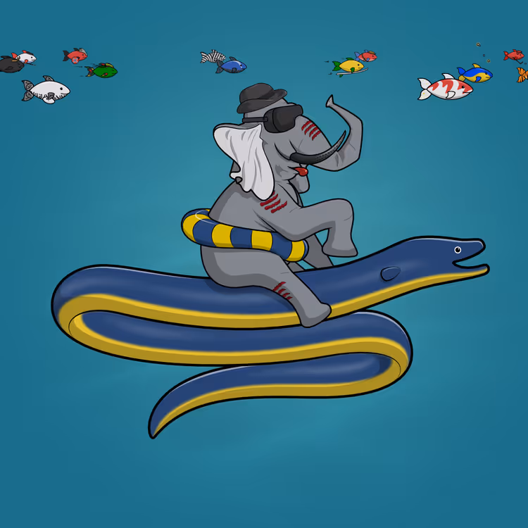 Ocean Racer #5743