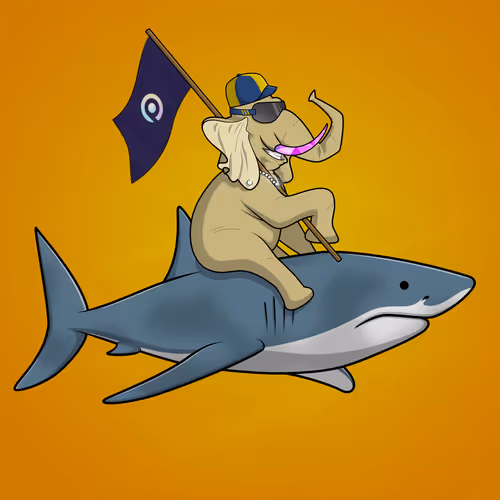 Ocean Racer #7774