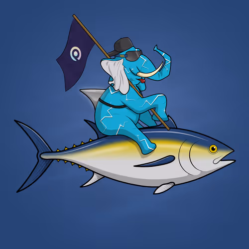 Ocean Racer #13648