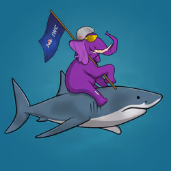 Ocean Racer #14575