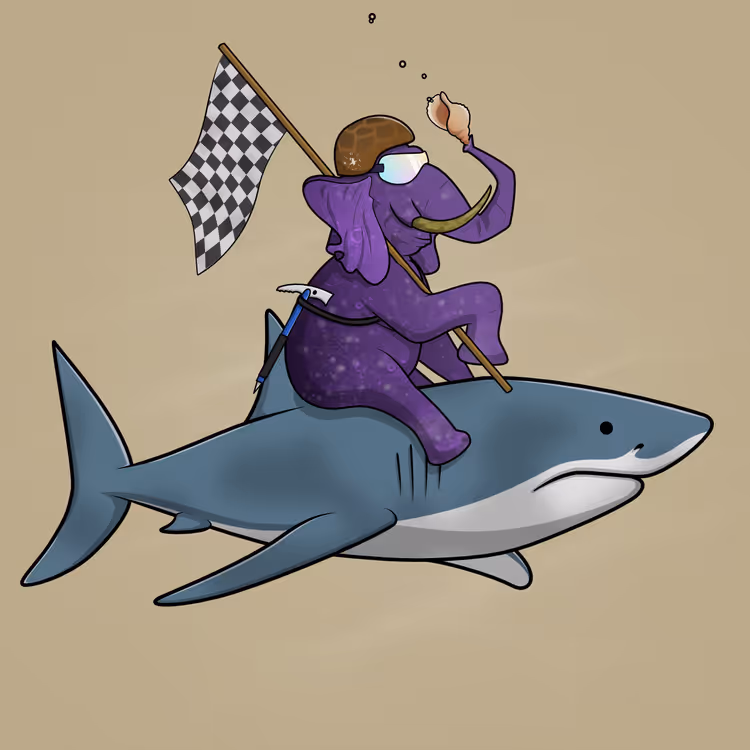 Ocean Racer #11685