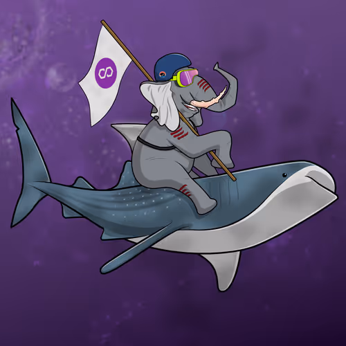 Ocean Racer #17086