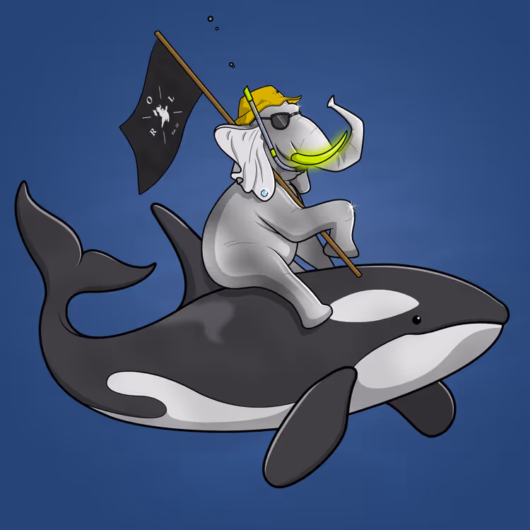 Ocean Racer #15669