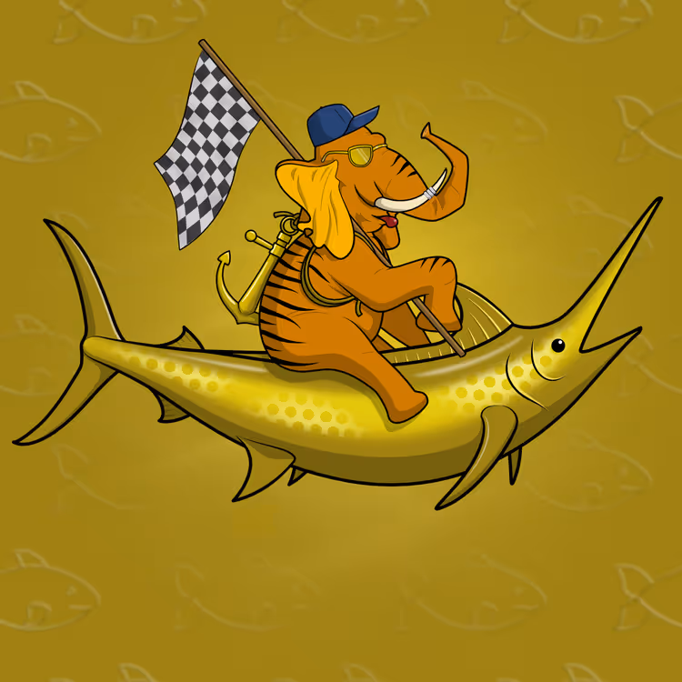Ocean Racer #14247