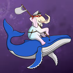 Ocean Racer #12894