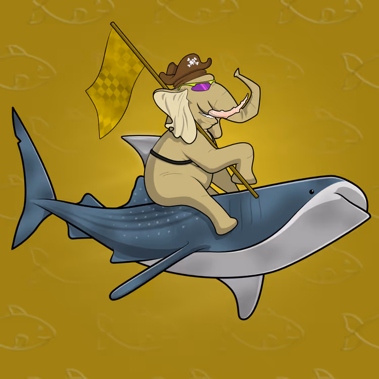 Ocean Racer #15691