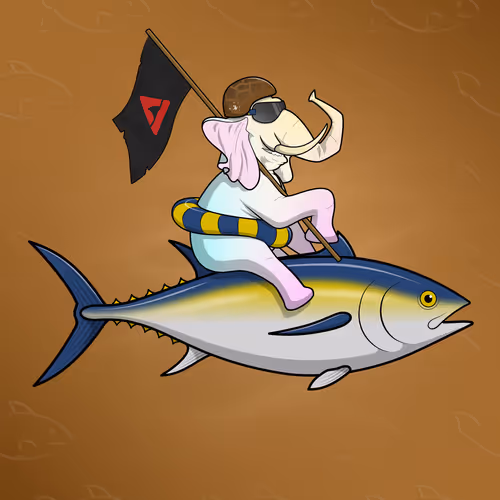Ocean Racer #11974