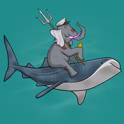 Ocean Racer #7079