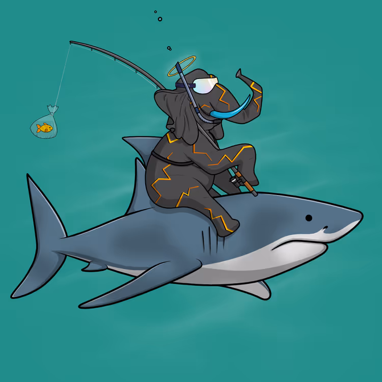 Ocean Racer #16657