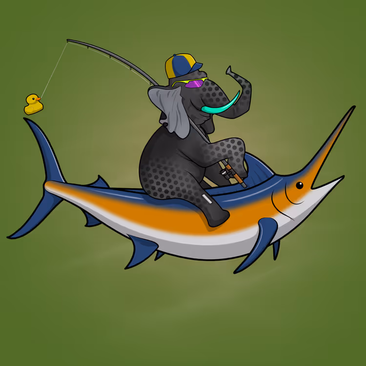 Ocean Racer #12996
