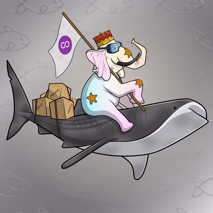 Ocean Racer #14195