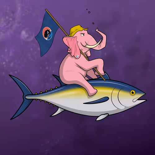 Ocean Racer #10583