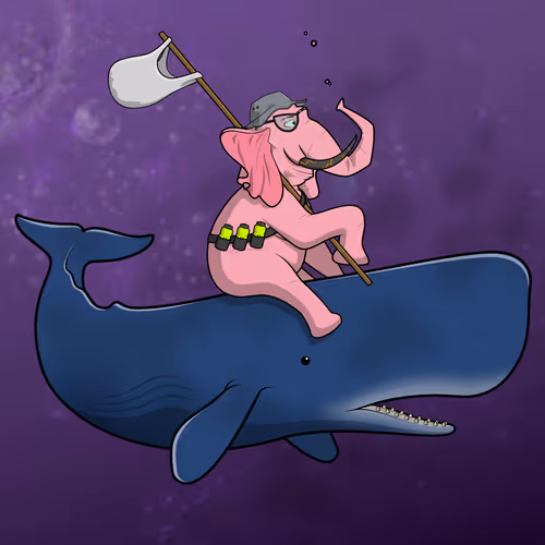 Ocean Racer #13885