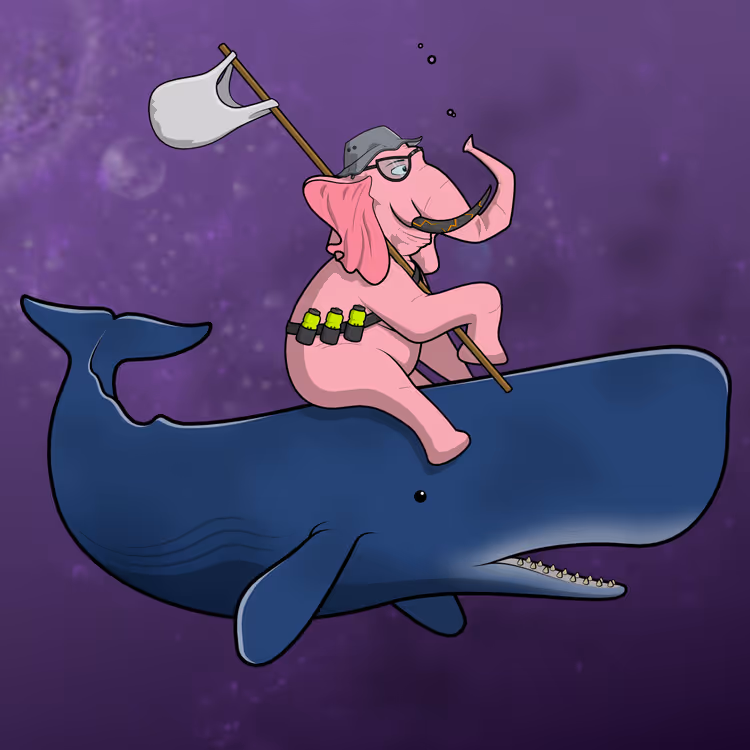 Ocean Racer #13885
