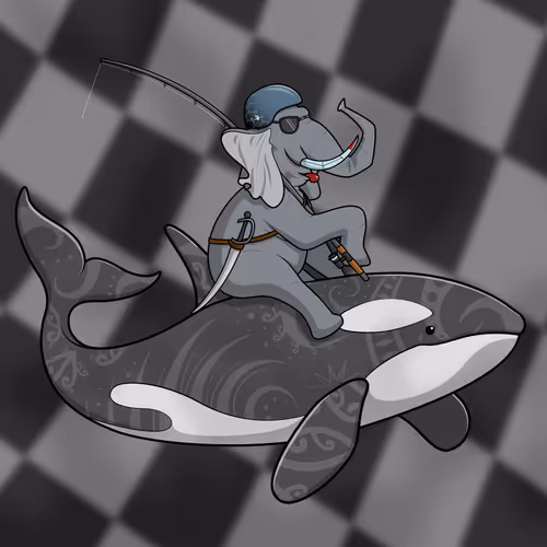 Ocean Racer #17242