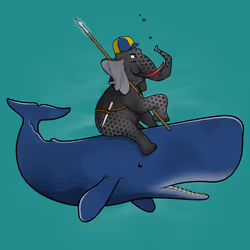Ocean Racer #9343